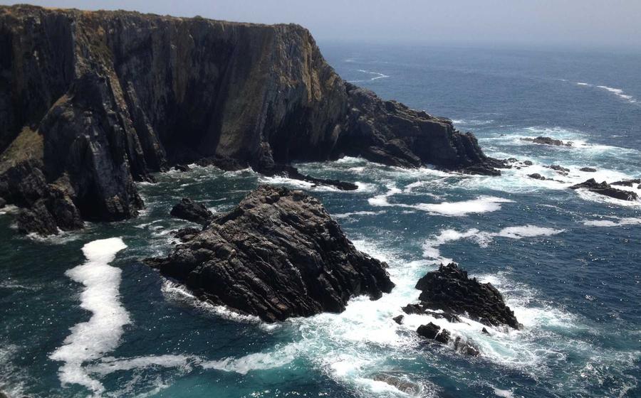 Pulse Marketing Campaign